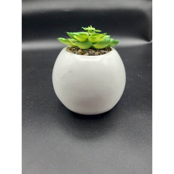 Disney Nightmare Before Christmas Jack Skellington Halloween Succulent Fauxplant - Picture 5 of 5